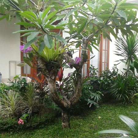 Jepun Bali Homestay Sanur Exteriér fotografie