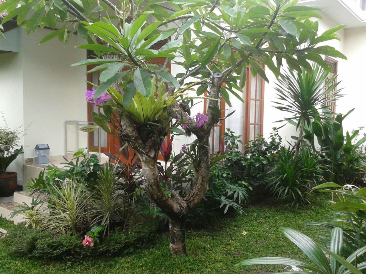 Jepun Bali Homestay Sanur Exteriér fotografie